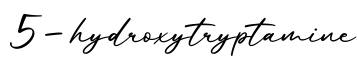 单词5-hydroxytryptamine书写