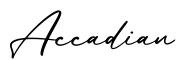 单词Accadian书写
