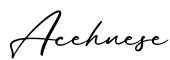 单词Acehnese书写
