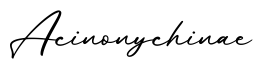 单词Acinonychinae书写