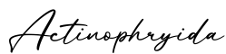 单词Actinophryida书写
