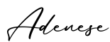单词Adenese书写