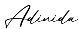 单词Adinida书写