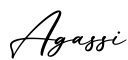 单词Agassi书写