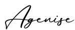 单词Agenise书写