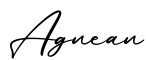单词Agnean书写