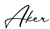 单词Aker书写