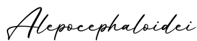 单词Alepocephaloidei书写