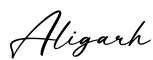 单词Aligarh书写