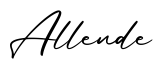 单词Allende书写