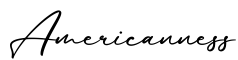 单词Americanness书写