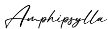 单词Amphipsylla书写
