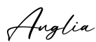 单词Anglia书写