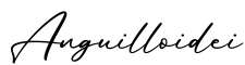 单词Anguilloidei书写