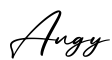 单词Angy书写