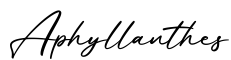 单词Aphyllanthes书写