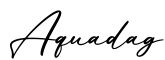 单词Aquadag书写