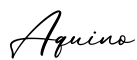 单词Aquino书写