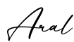 单词Aral书写