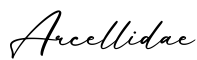 单词Arcellidae书写