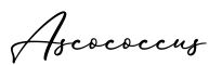单词Ascococcus书写