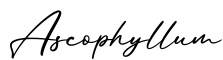 单词Ascophyllum书写