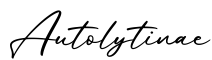 单词Autolytinae书写