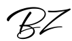 单词BZ书写