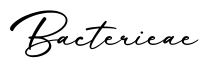单词Bacterieae书写