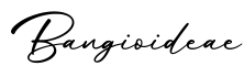单词Bangioideae书写