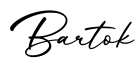 单词Bartok书写
