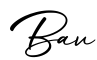 单词Bav书写