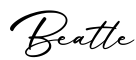 单词Beatle书写