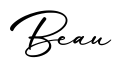 单词Beau书写