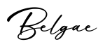 单词Belgae书写