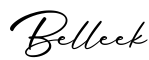单词Belleek书写