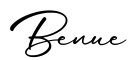 单词Benue书写