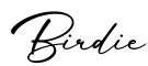 单词Birdie书写