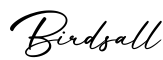 单词Birdsall书写