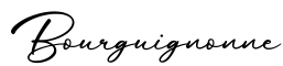 单词Bourguignonne书写