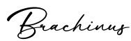 单词Brachinus书写
