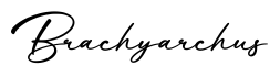 单词Brachyarchus书写