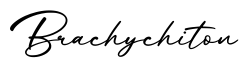 单词Brachychiton书写