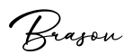 单词Brasov书写