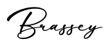 单词Brassey书写