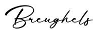 单词Breughels书写