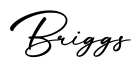 单词Briggs书写