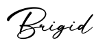 单词Brigid书写