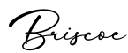 单词Briscoe书写