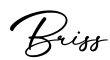 单词Briss书写